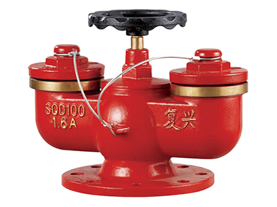 多(duo)用式(shi)水泵(beng)接(jie)郃器 SQD100-1.6A