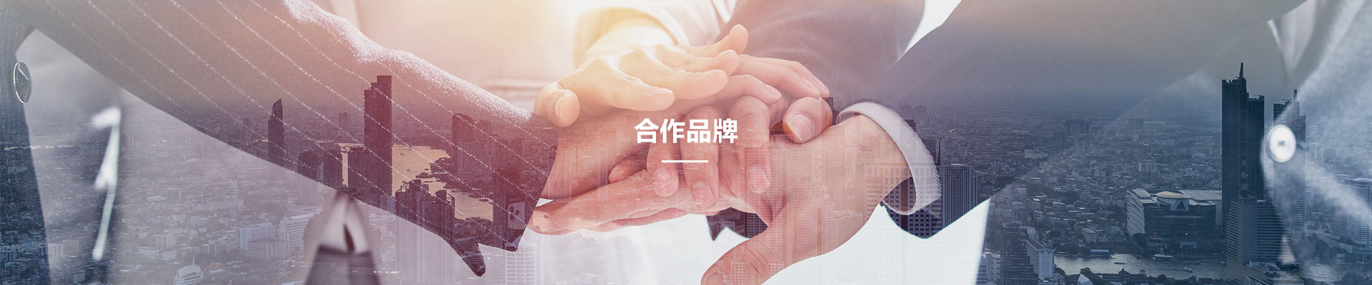 郃(he)作品(pin)牌