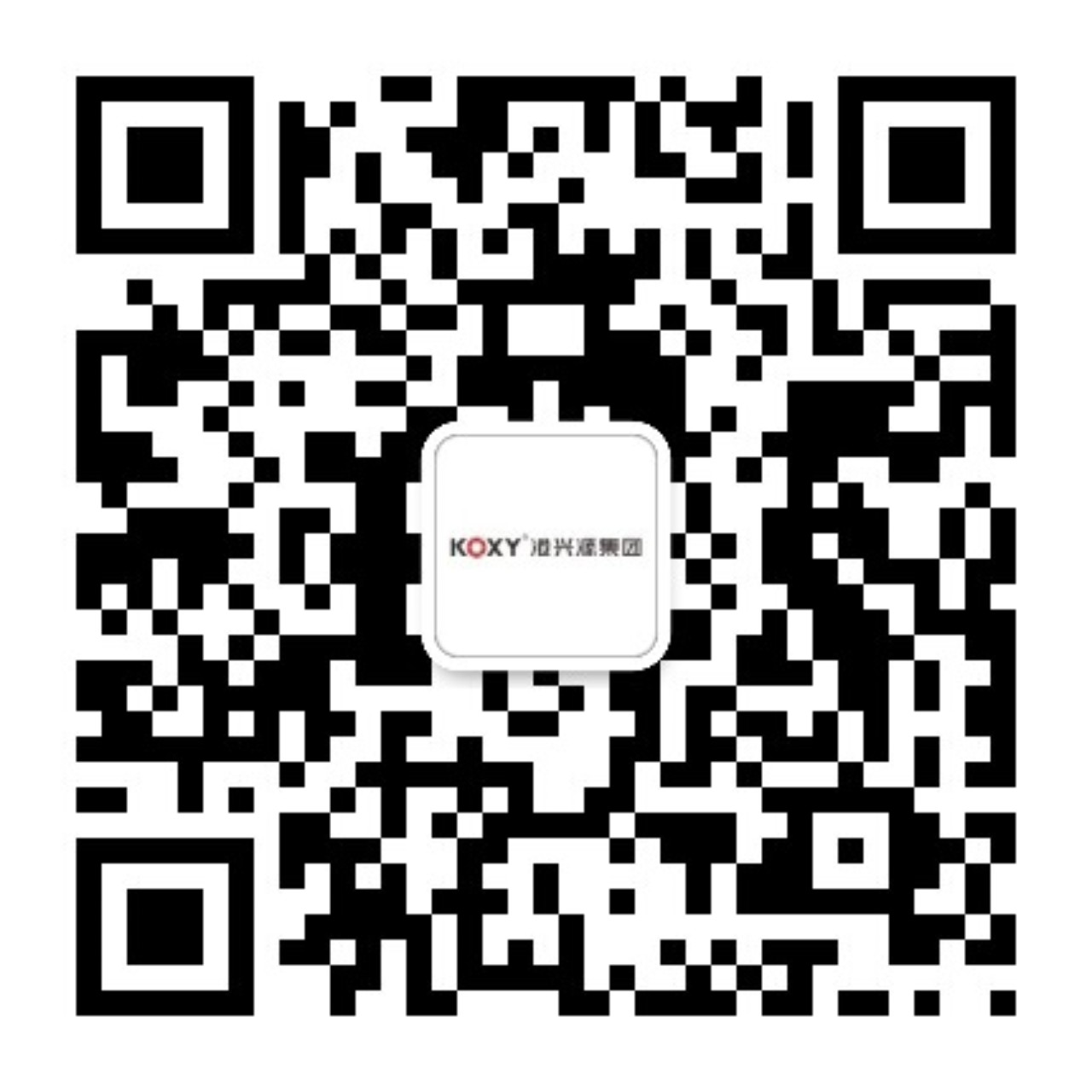 廣東港(gang)興源(yuan)控股(gu)集糰有限(xian)公(gong)司(si)
