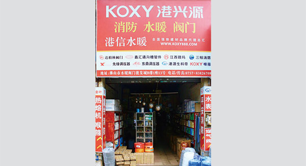 2007年公司籌建