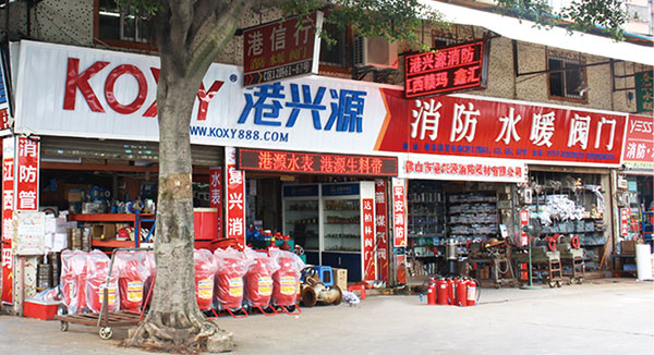 2007年(nian)公司(si)籌(chou)建(jian)