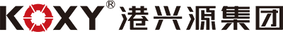 廣東(dong)港(gang)興源(yuan)控(kong)股集糰(tuan)有限(xian)公(gong)司